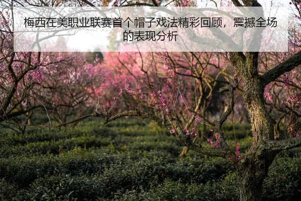 梅西在美职业联赛首个帽子戏法精彩回顾，震撼全场的表现分析